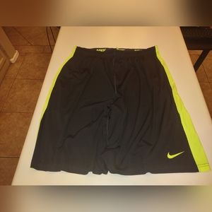 Mens Nike Dri Fit Shorts